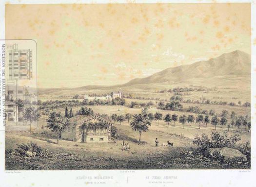 12 Το κτήμα της Βασιλίσσης, επονομαζόμενον Επτάλοφος.