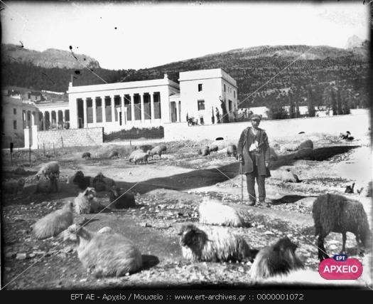 ΓΕΝΙΚΗ ΑΠΟΨΗ ΤΗΣ ΓΕΝΝΑΔΕΙΟΥ ΒΙΒΛΙΟΘΗΚΗΣ ΚΑΤΑ ΤΟ ΣΤΑΔΙΟ ΑΠΟΠΕΡΑΤΩΣΗΣ ΤΟΥ ΚΤΗΡΙΟΥ. ΠΡΟΒΑΤΑ ΒΟΣΚΟΥΝ ΣΤΟ