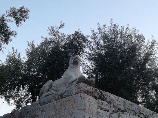 Μαρμαρινος μολοσσός φύλακας